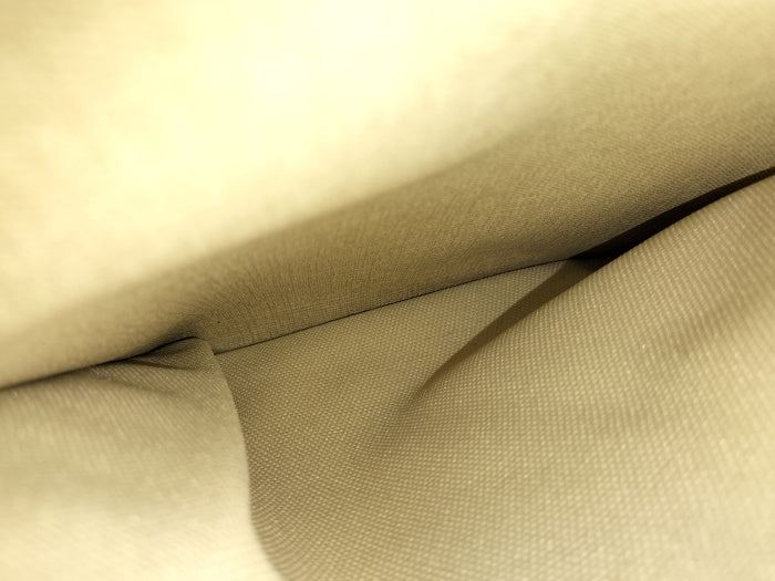 Louis vuitton Deauville